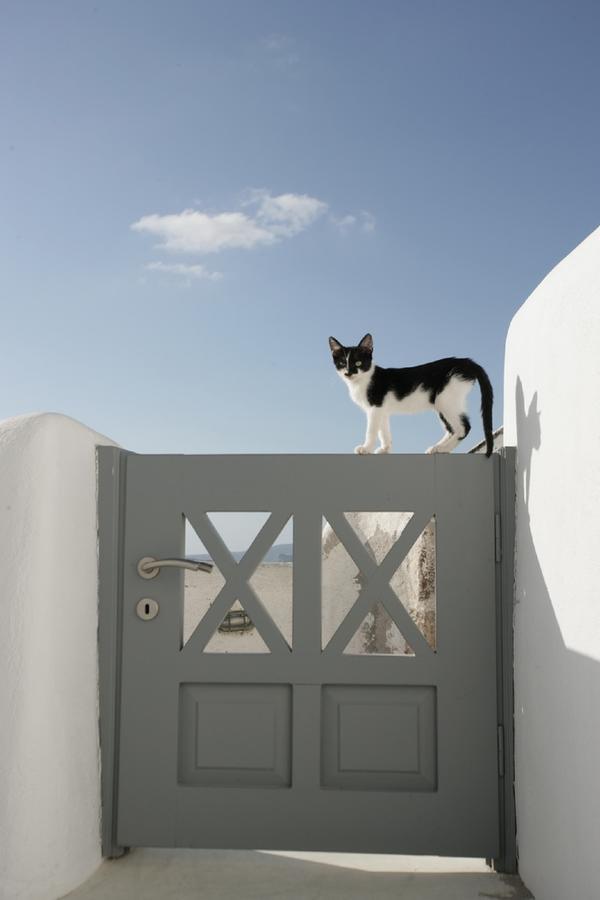 White Suite Oía Dış mekan fotoğraf